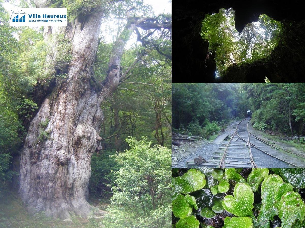 Villa Heureux Yakushima  Exteriör bild